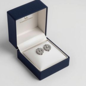 Picture for category Earrings